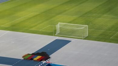 market analysis for products