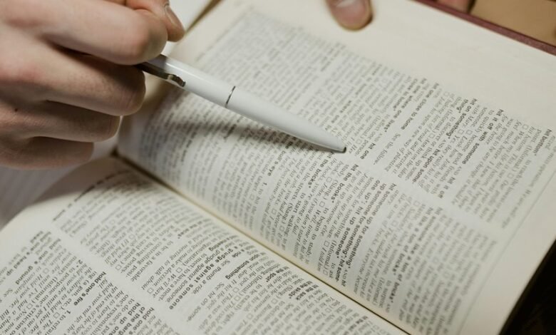 accurate caller information lookup insight