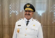 apex strategy authority structure