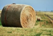 nova node 800800808 expansion loop