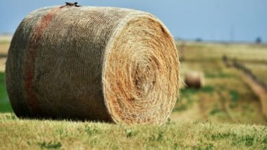 nova node 800800808 expansion loop