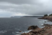 nova surge at 919190476 opportunity lane