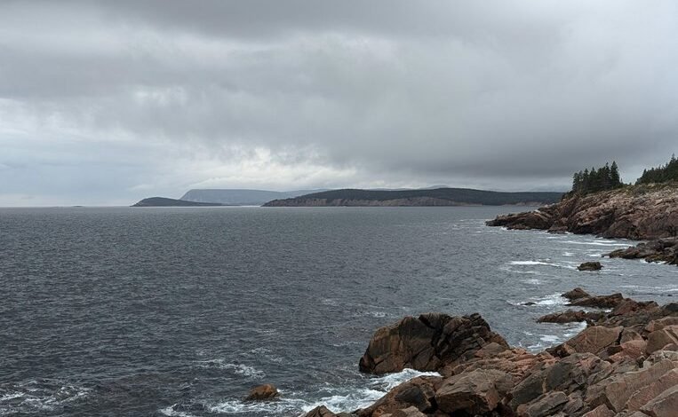 nova surge at 919190476 opportunity lane