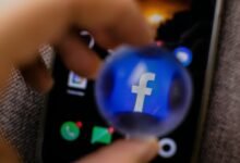 platform usage and account details