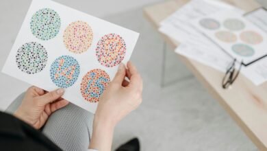 visionary business layout horizon