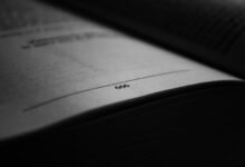 beginner s guide to 3761212426