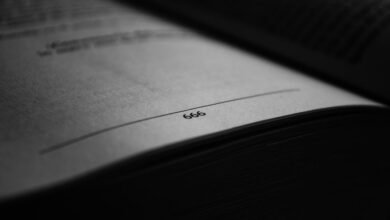 beginner s guide to 3761212426
