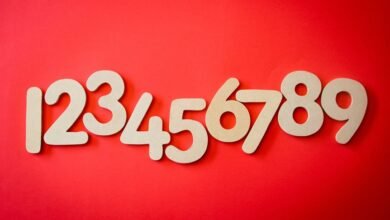 everything about 3334432302 details