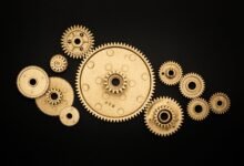 zimslapt2154 workflow and significance